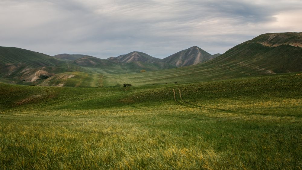 Photograph by Вячеслав Болякин