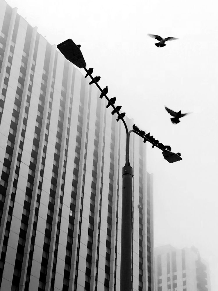 Photograph by Наталия Макарова