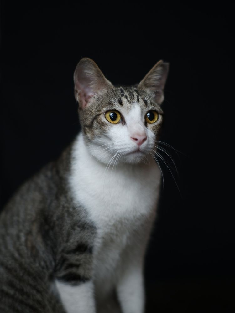 Фотография автора Zai R.