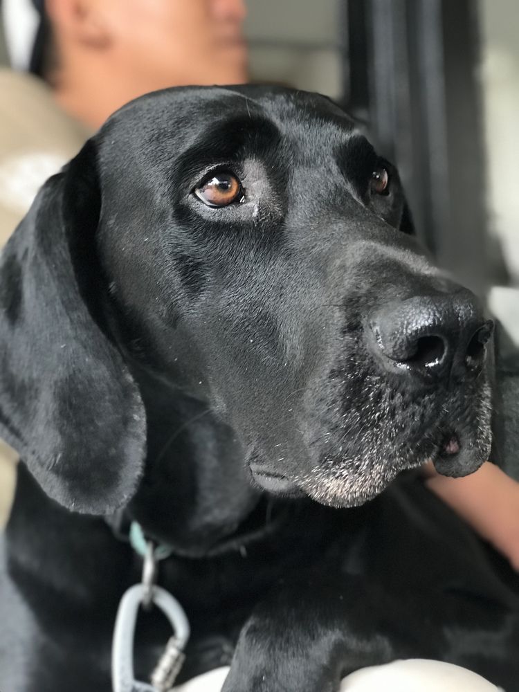 Фотография автора Zai R.