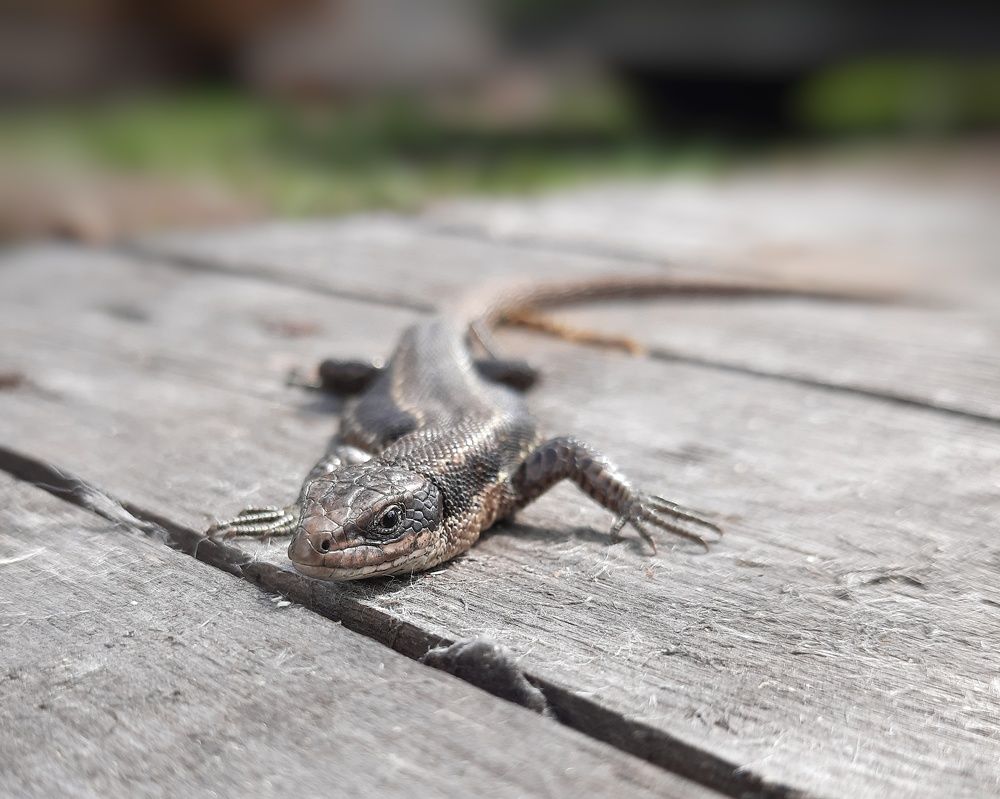 Фотография автора Olga Kunakova