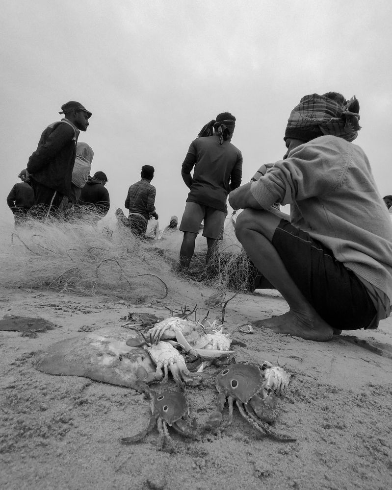 Photograph by Ayush Thakur