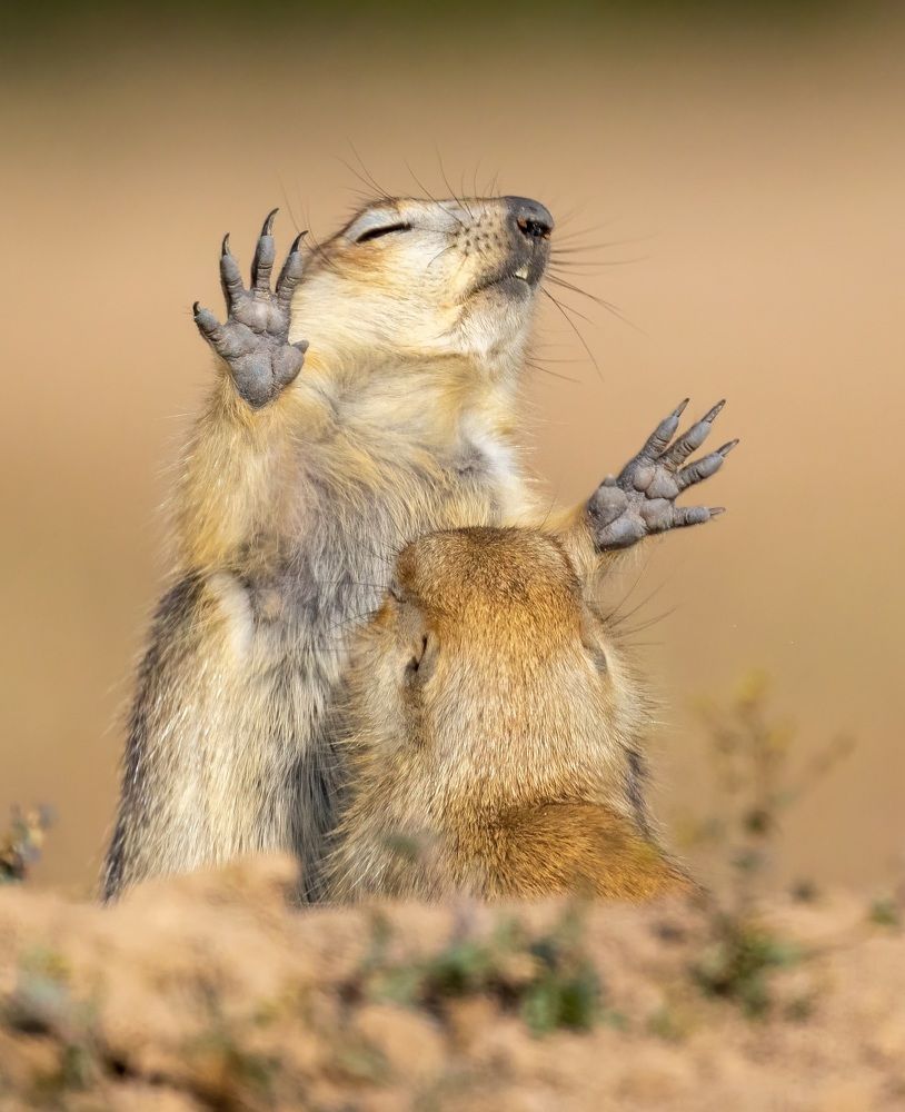 Photograph by Vida Shams