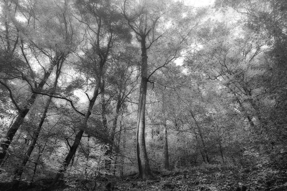 Photograph by Валерий