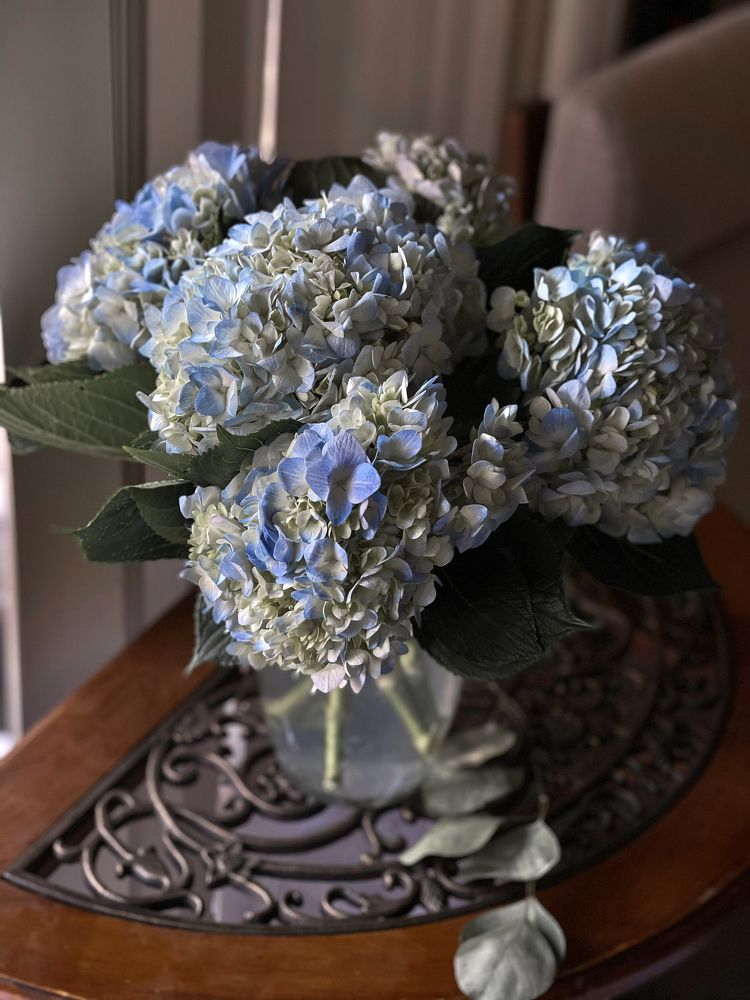 Photograph by Елена Кудрявцева