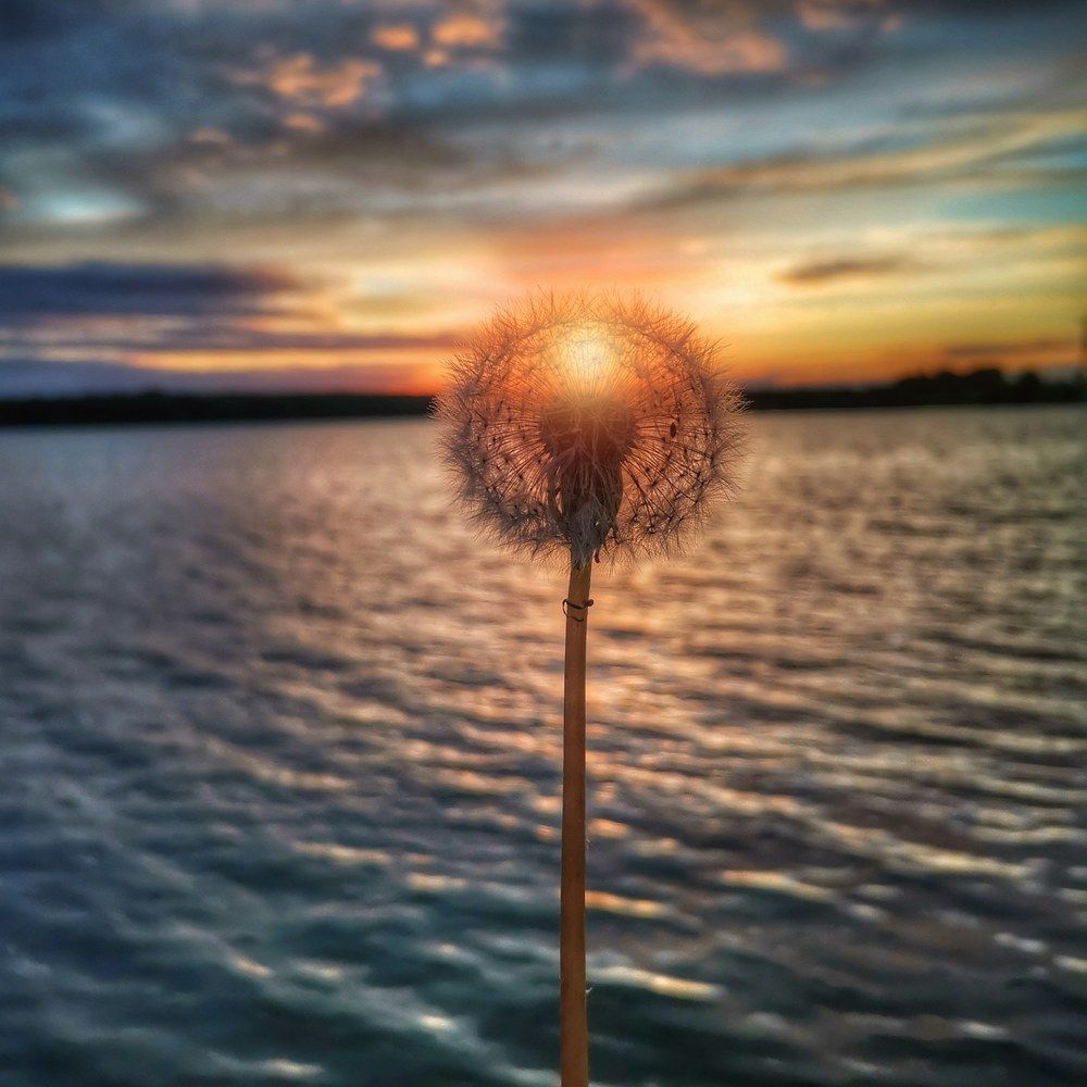 Photograph by Иван Архаров