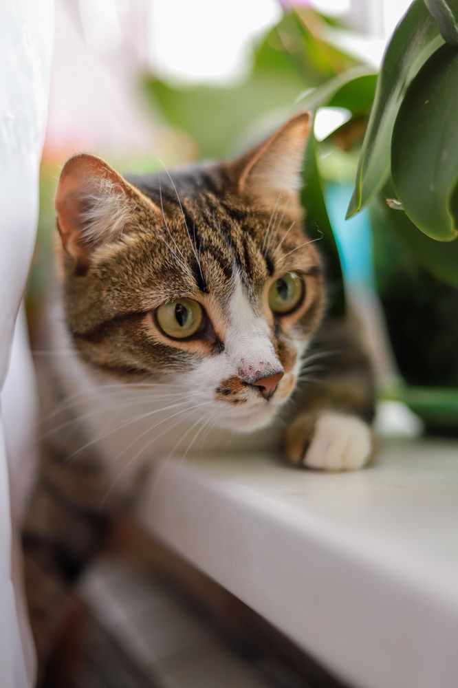 Photograph by Иван Архаров