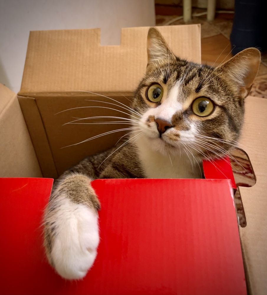 Photograph by Иван Архаров