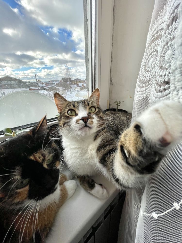 Photograph by Иван Архаров