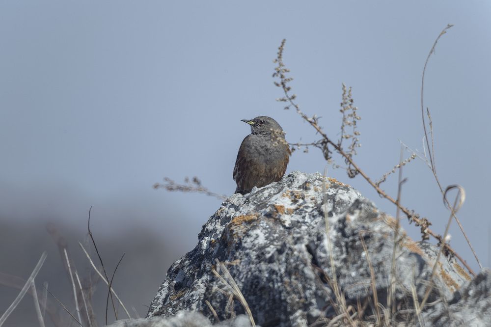 Photograph by Александр Кузнецов