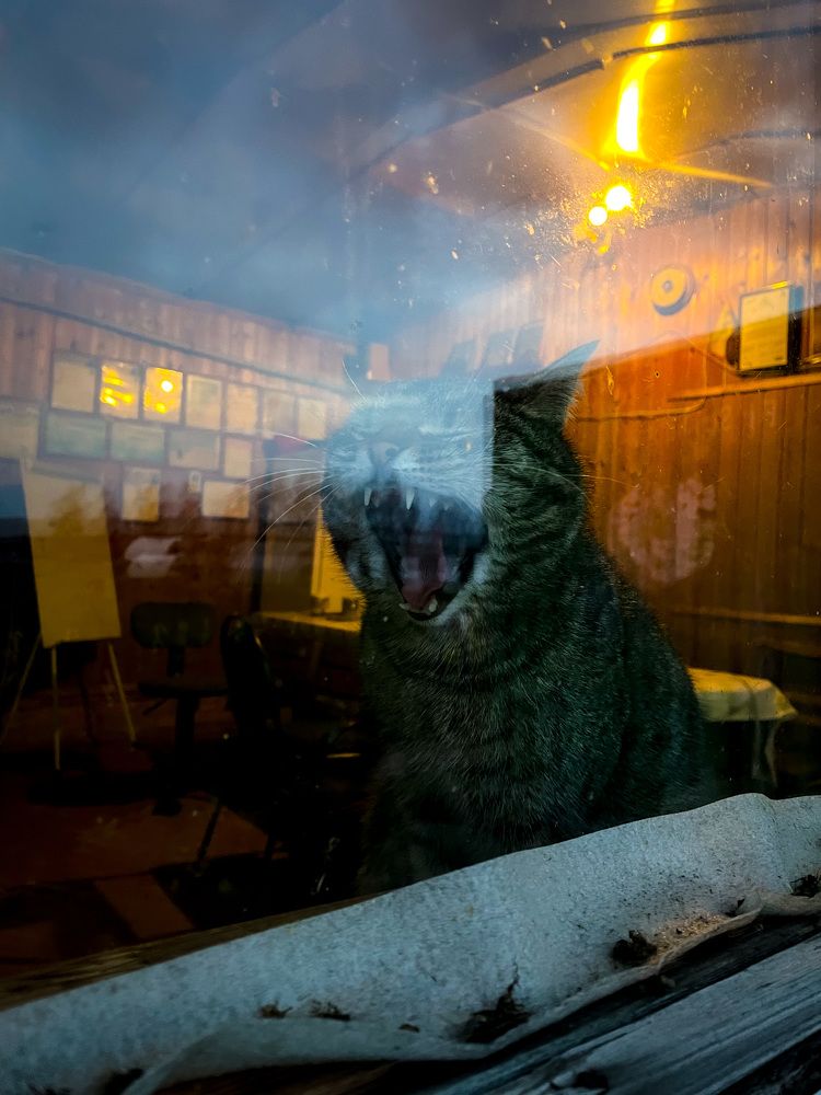 Photograph by Анастасия Могилевец