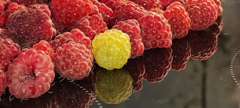 Photograph by Мария