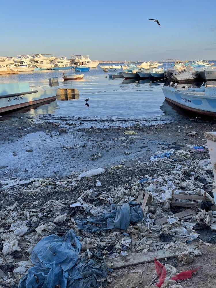 Photograph by Ольга