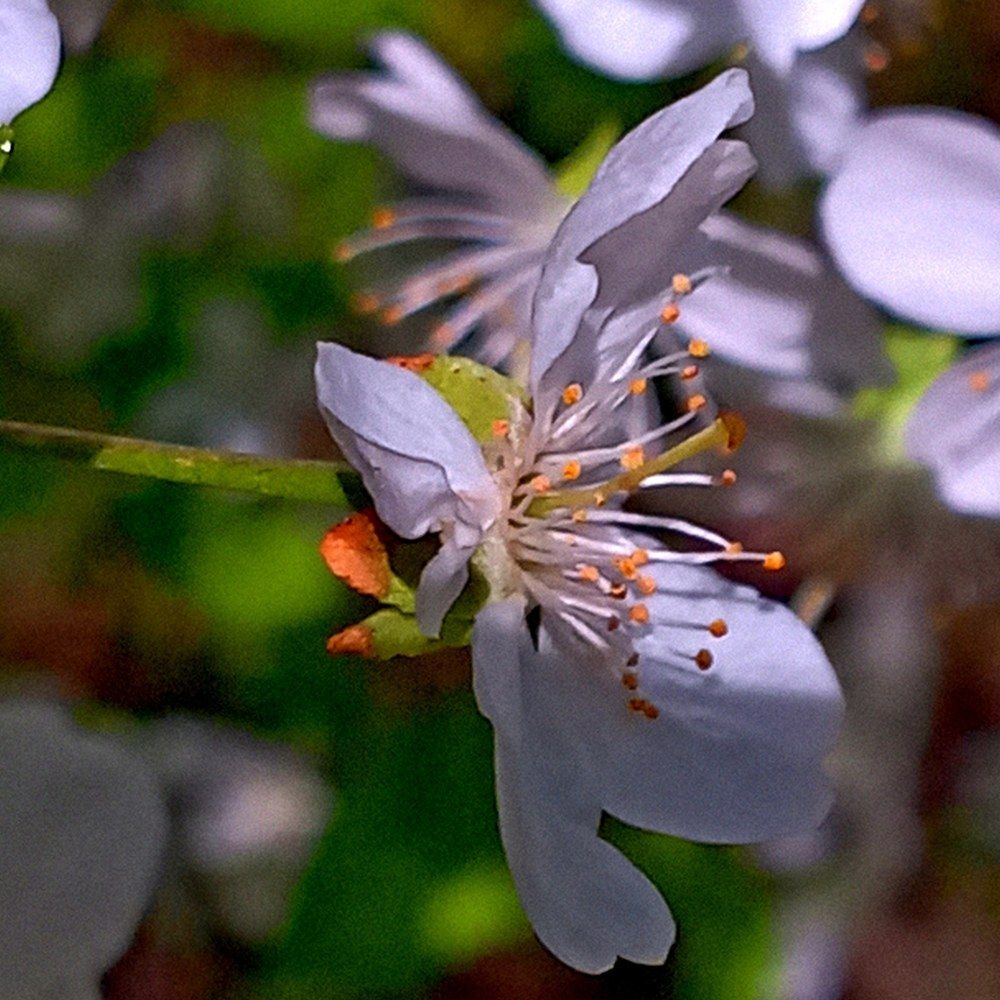 Photograph by Bozhidar Atanasov