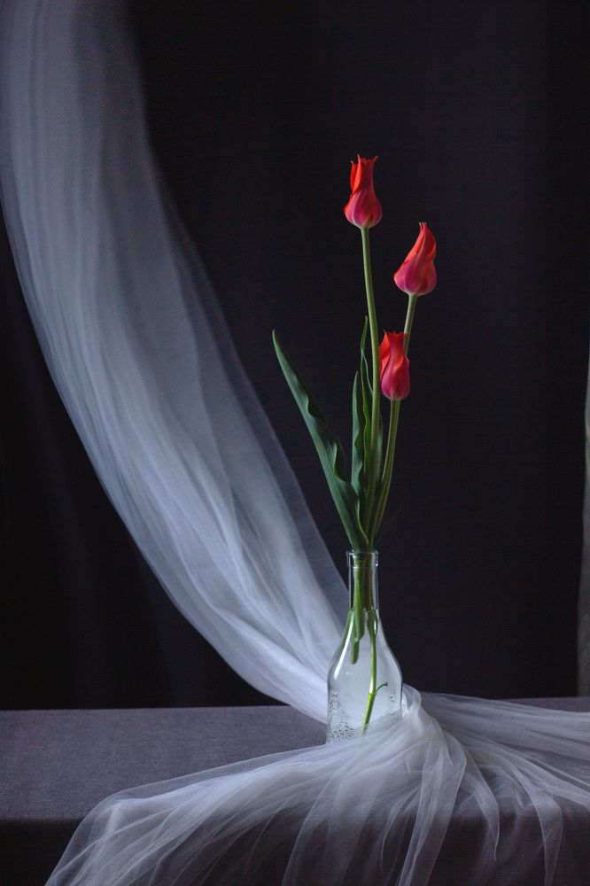 Photograph by Ирина Лаврова