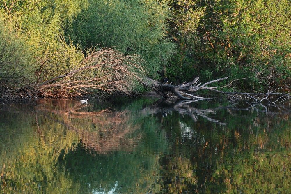 Photograph by Наталья  Тапилкина