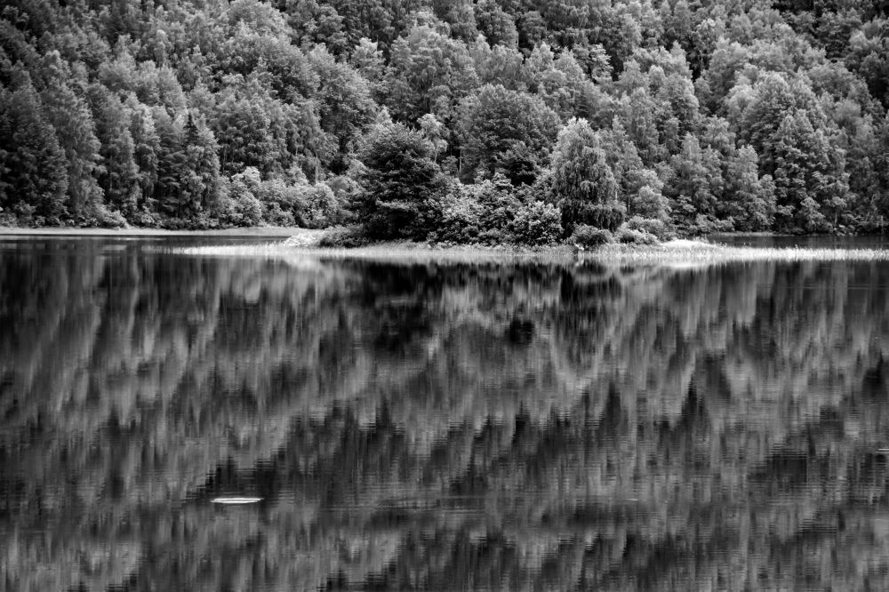 Photograph by Евгений Жиляев