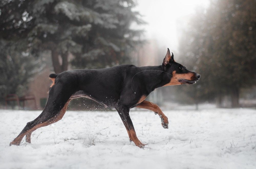 Photograph by Maryna