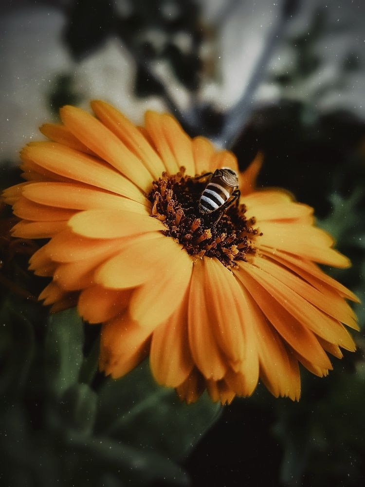 Photograph by anahita peymani