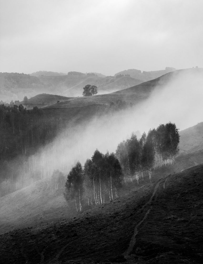 Photograph by Ana-Maria Tatarus