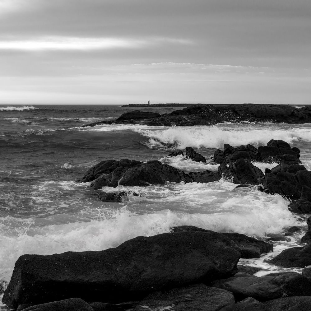 Photograph by Ana-Maria Tatarus