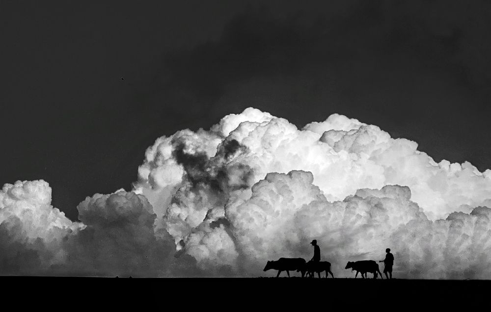 Фотография автора PRADIPTAMOY PAUL