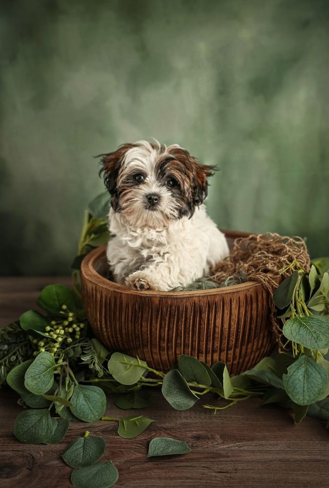 Photograph by Vero Herrero