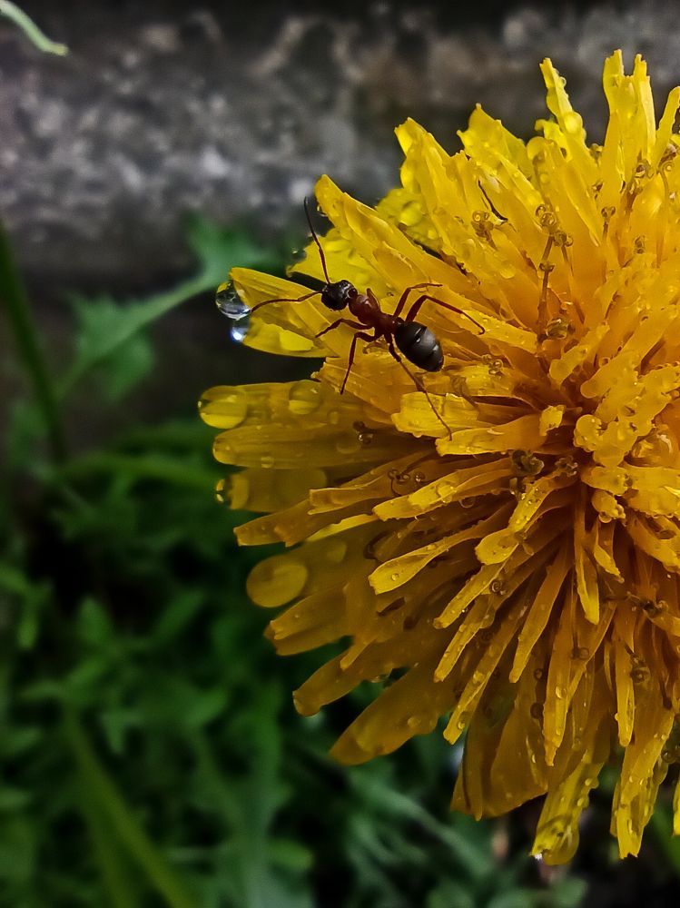 Photograph by Ирина Дегтярева