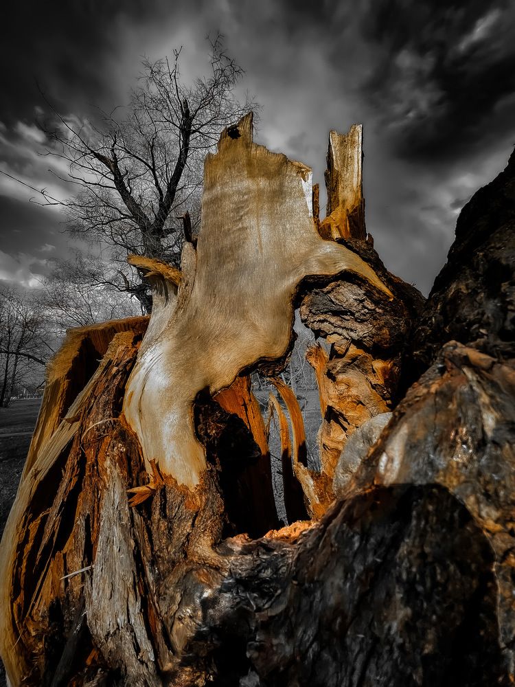 Фотография автора Sergey Sokolovsky