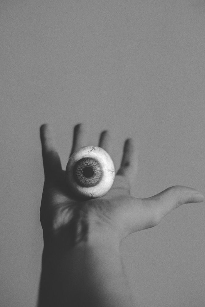 Photograph by mohammadreza shahbazi