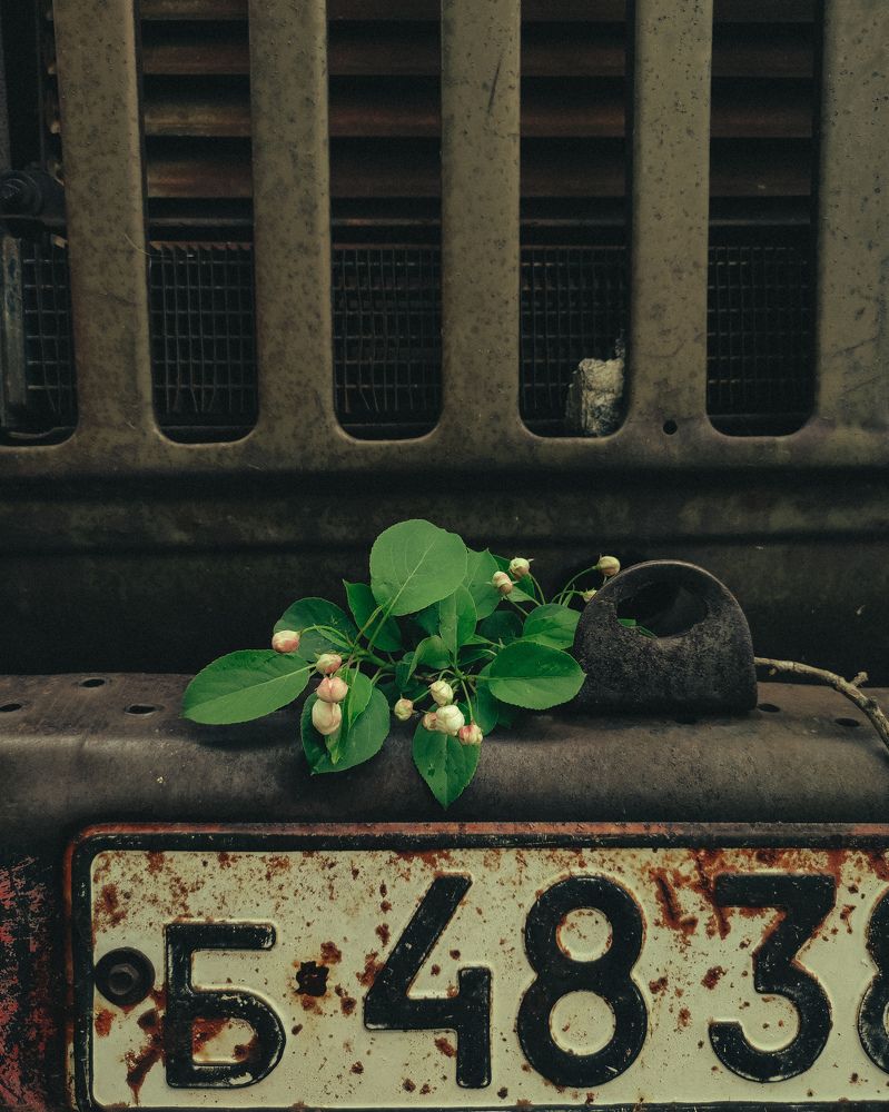 Photograph by Алия Аткельтирова