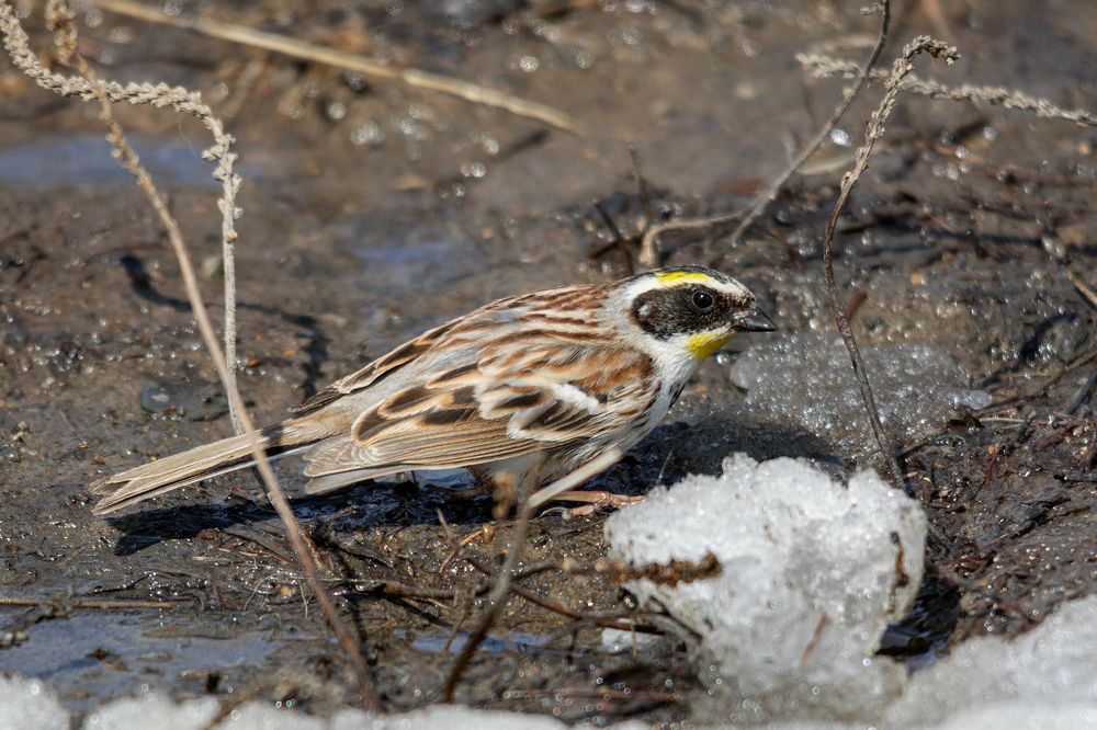 Photograph by Виктор Чернюк