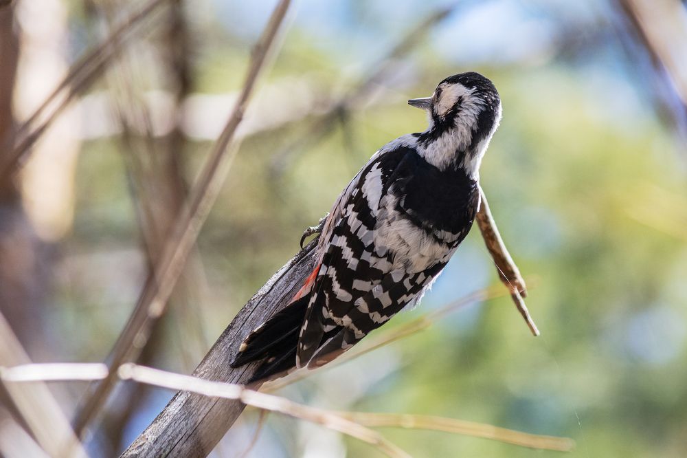 Photograph by Виктор Чернюк