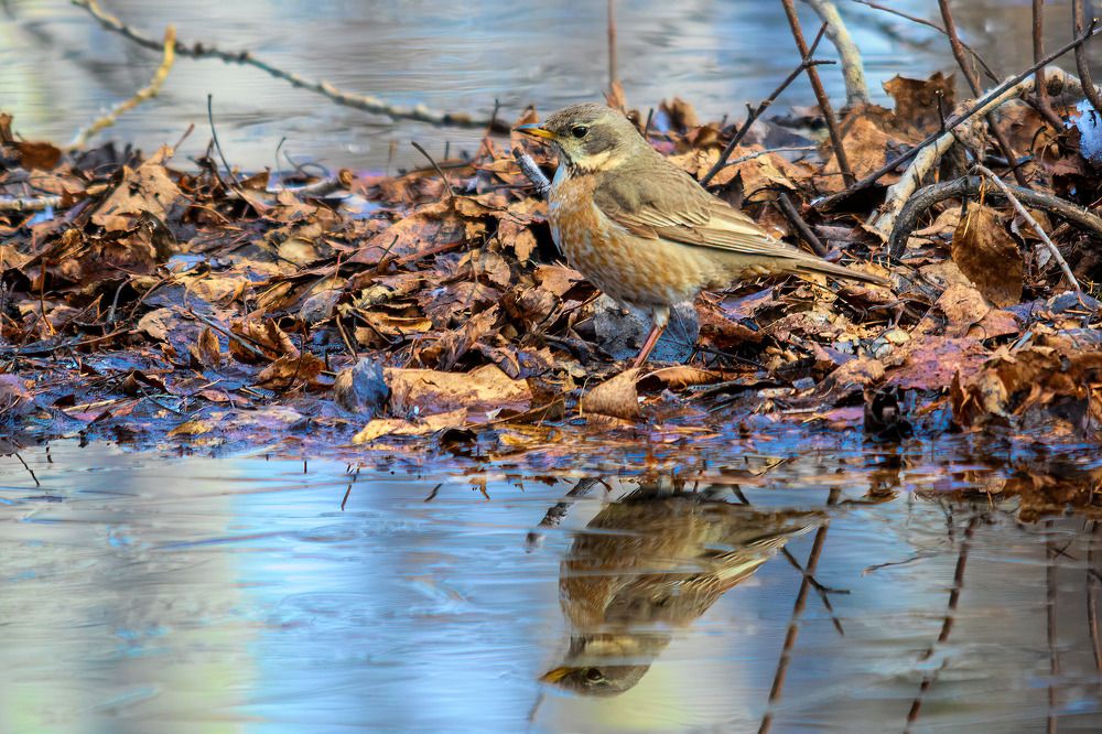 Photograph by Виктор Чернюк