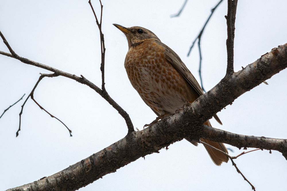 Photograph by Виктор Чернюк