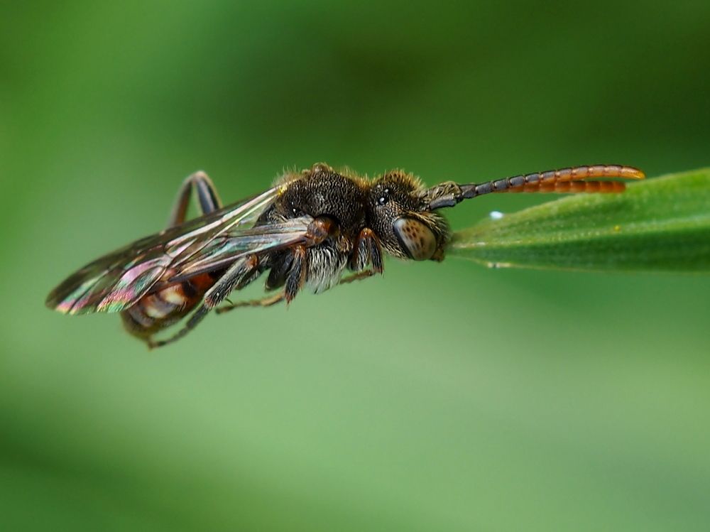 Photograph by Елена Харитонова