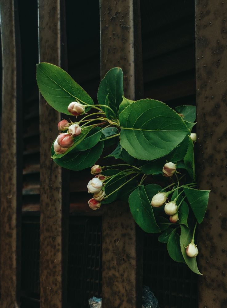 Photograph by Алия Аткельтирова