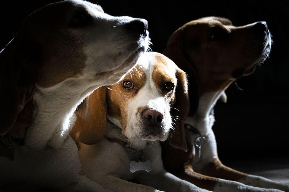 Photograph by Юлия Куликова