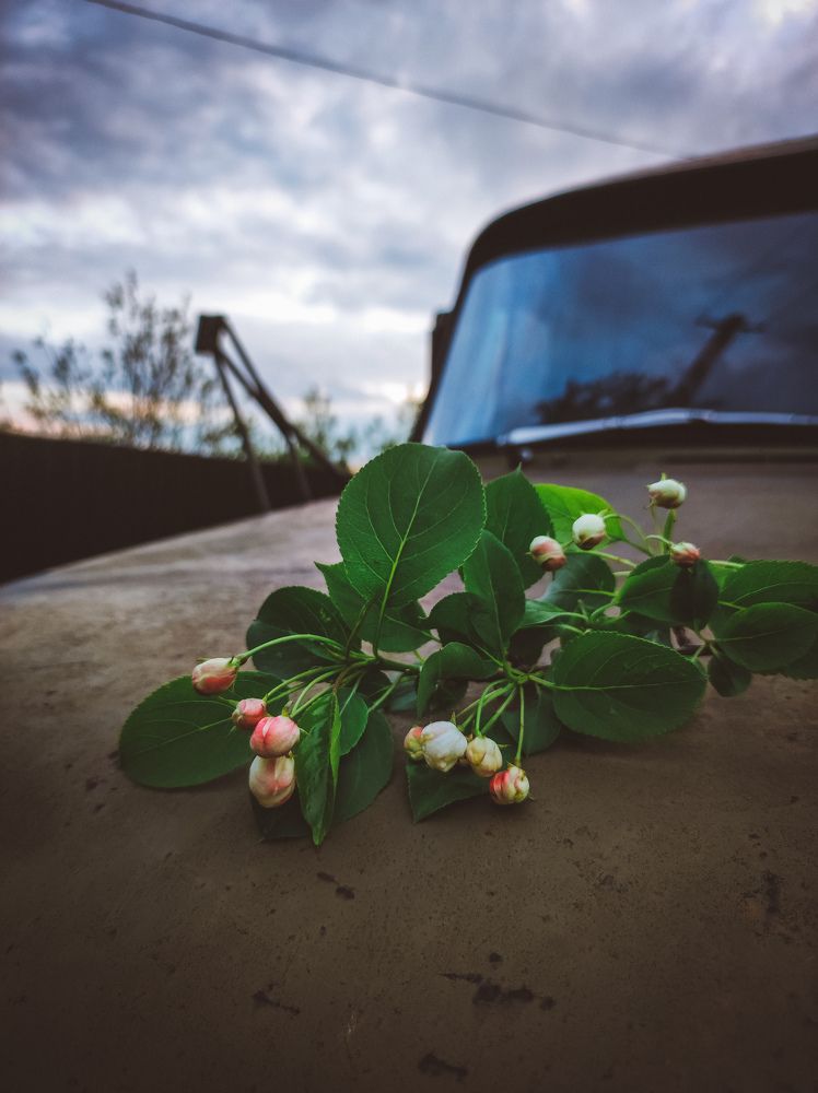 Photograph by Алия Аткельтирова