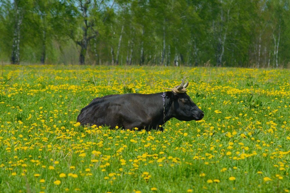 Photograph by Сергей Симаков