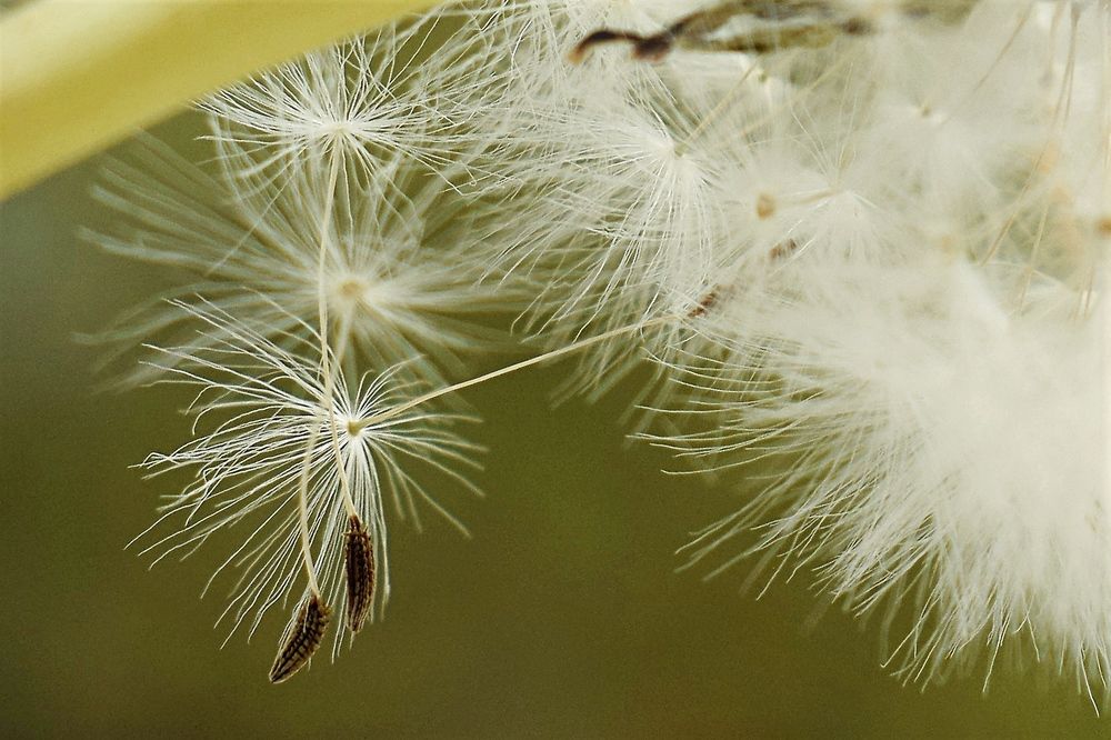 Photograph by Татьяна Помогалова