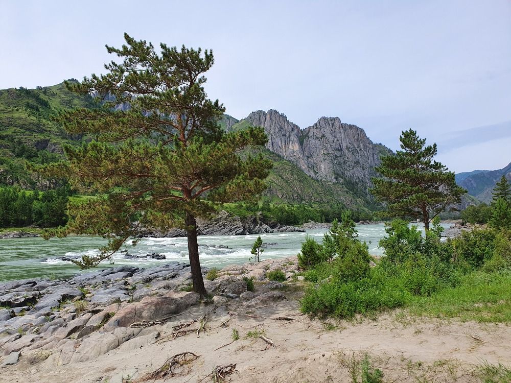 Photograph by Елена Харитонова