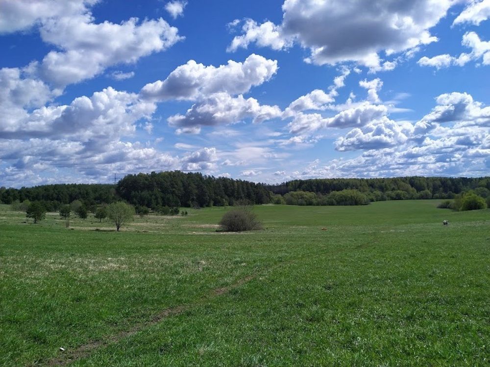 Фотография автора Ксения Петрова