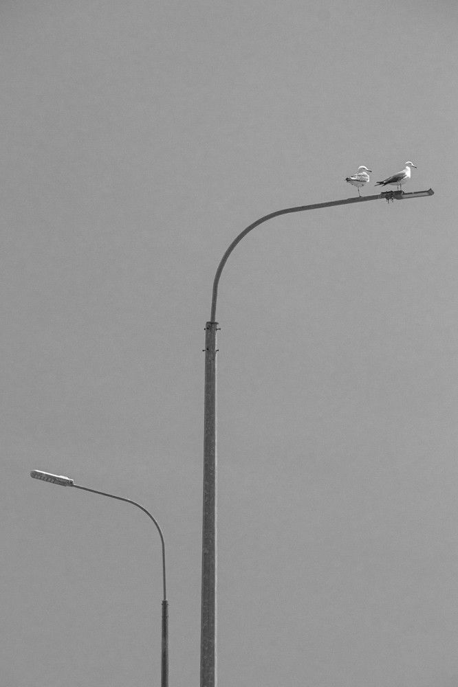 Photograph by Дмитрий Медянников