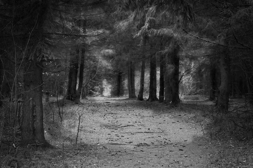 Photograph by Юрий Коротков