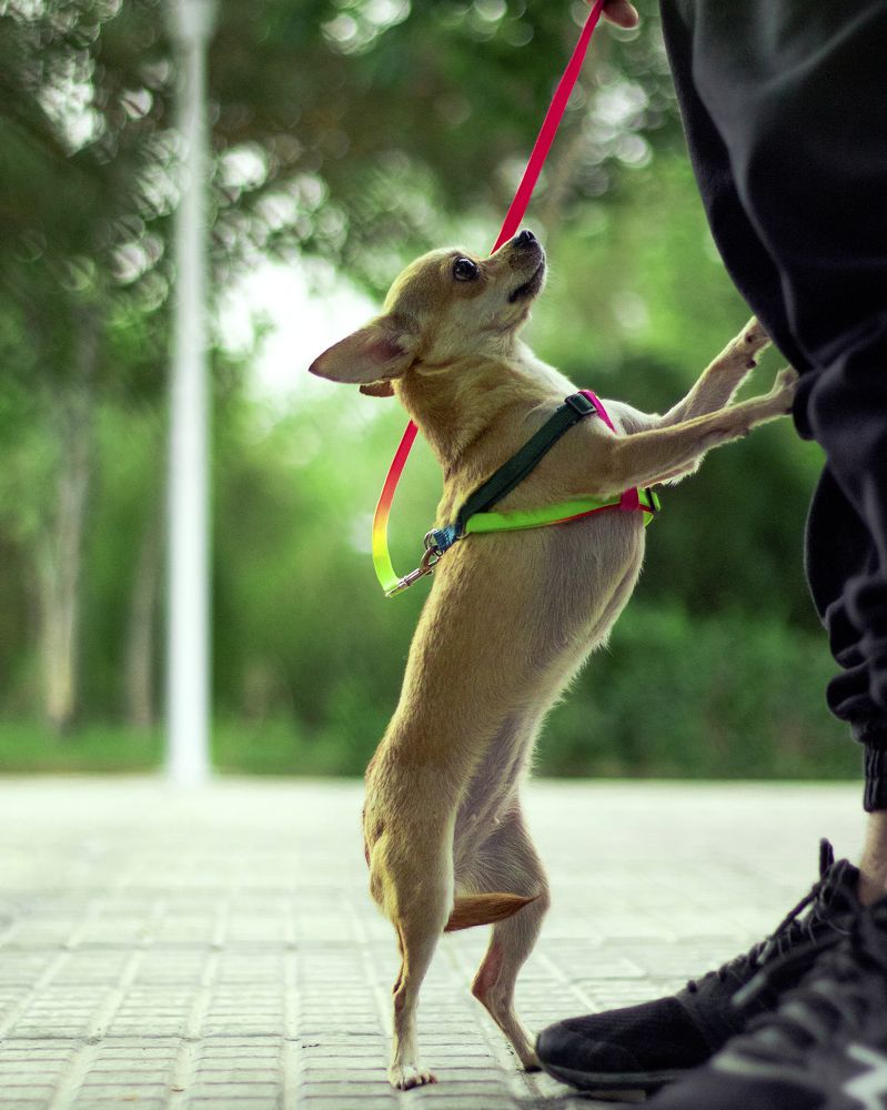 Photograph by Erfan Jahanbazi