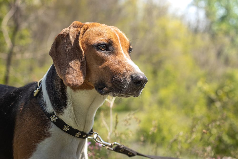 Photograph by Виктория Козинец