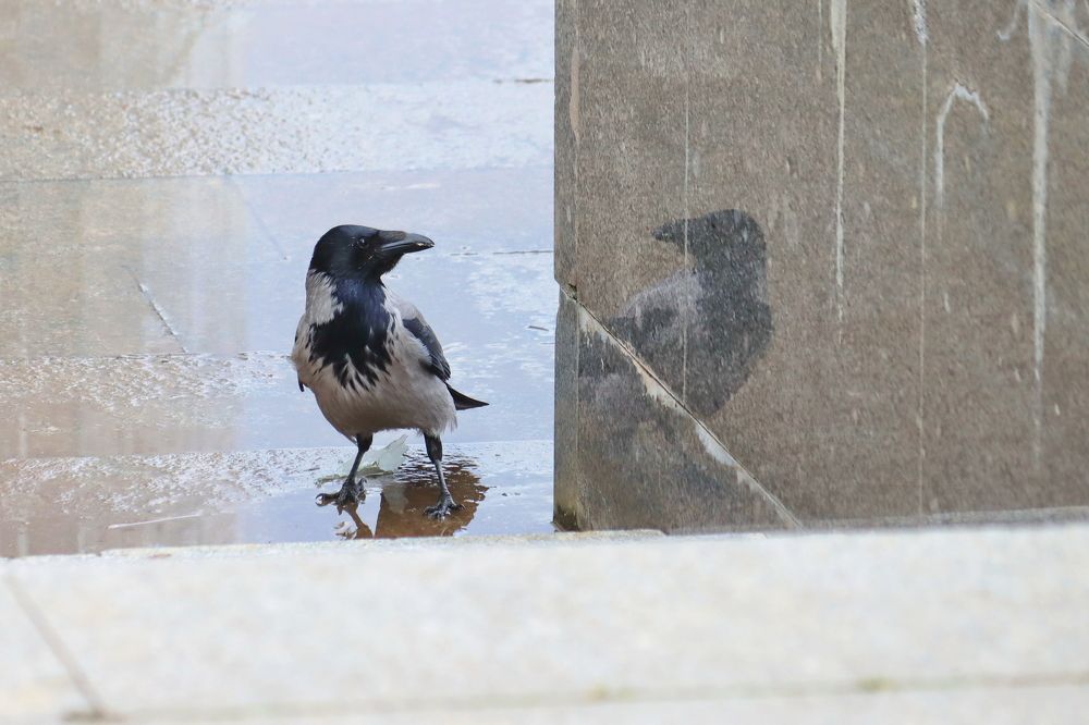 Photograph by Крылов Владимир