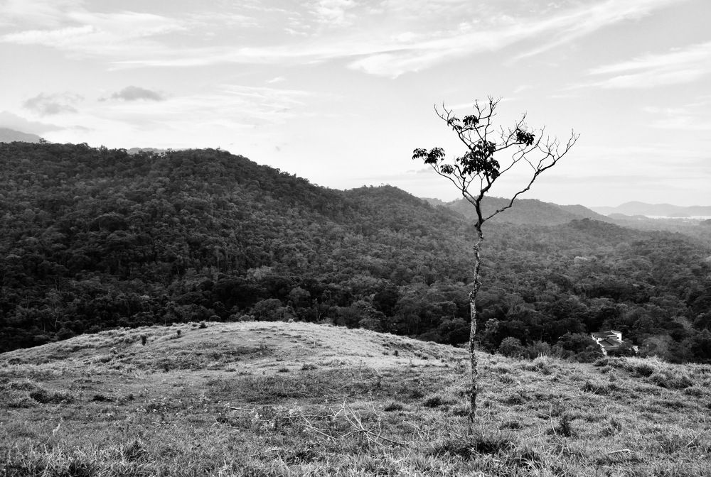 Photograph by Bruca Manigua