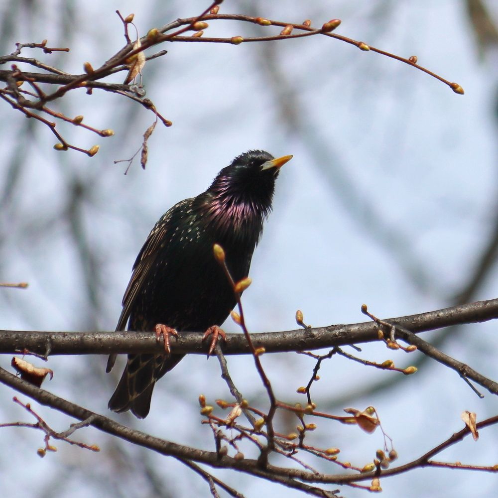 Photograph by Крылов Владимир